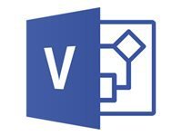 Microsoft Visio Pro for Office 365 - licence d'abonnement (1 mois) - 1 utilisateur