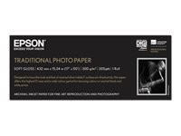 Epson Traditional Photo Paper - papier photo - rouleau (43,2 cm x 15 m) - 300 g/m²