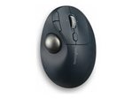 Souris Hp 925 - Souris verticale - 6 boutons - sans fil - 2.4 GHz,  Bluetooth 5.3 - récepteur sans fil USB - noir - emballage durable